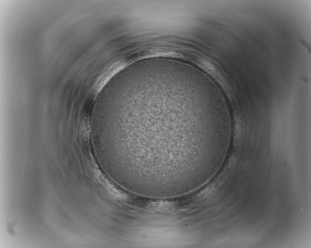 X0000100981377200807011434