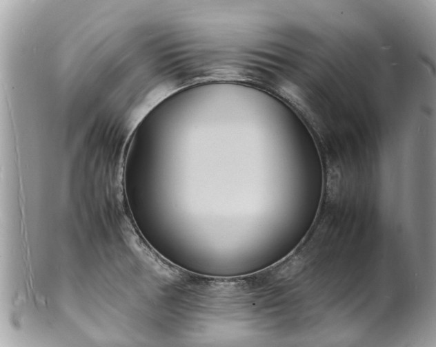 X0000100981378200807011433