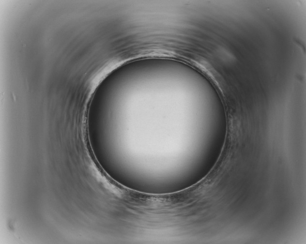 X0000100981379200807011433