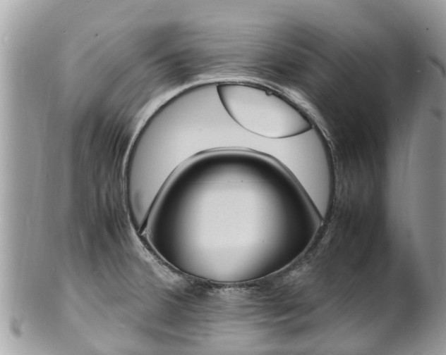 X0000100981380200807011433