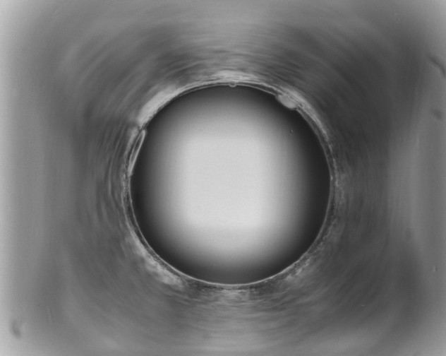 X0000100981381200807011433