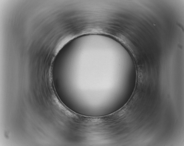 X0000100981382200807011433