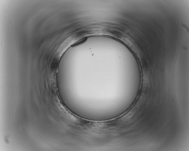 X0000100981385200807011433