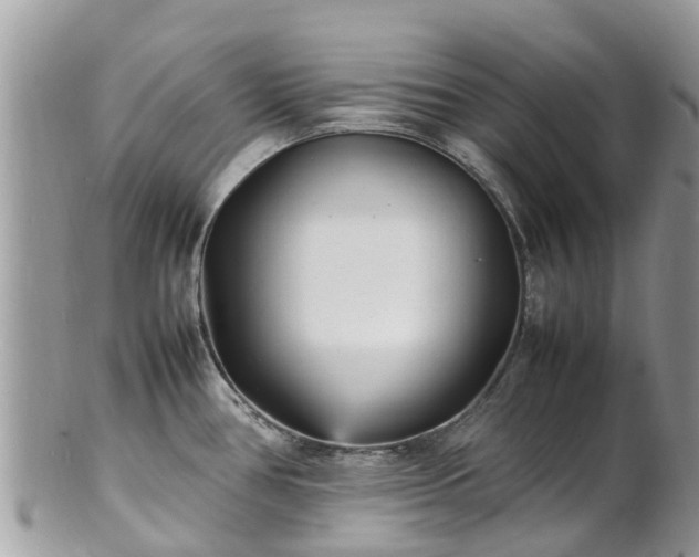 X0000100981386200807011433