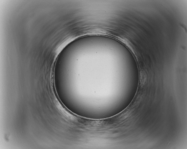 X0000100981387200807011433