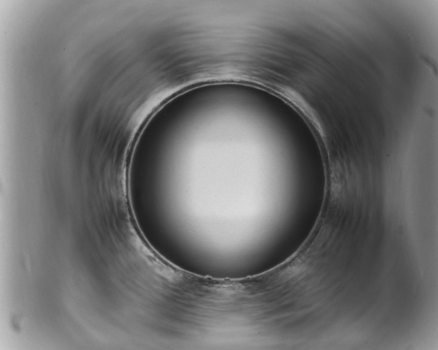 X0000100981388200807011433