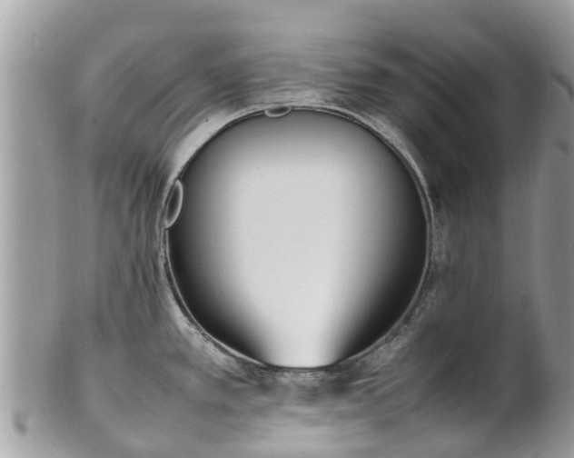 X0000100981389200807011433