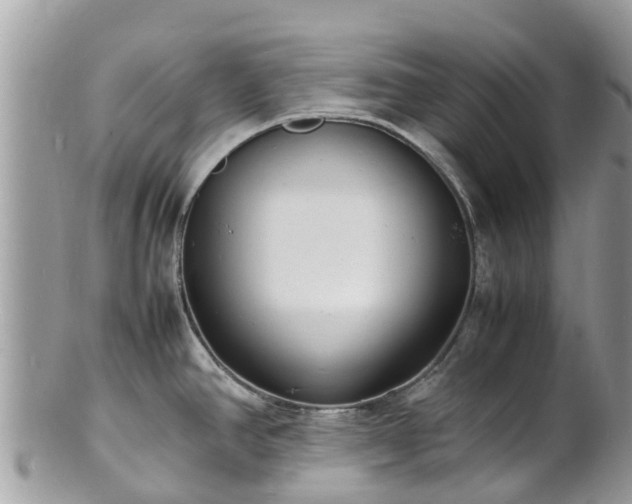 X0000100981390200807011433