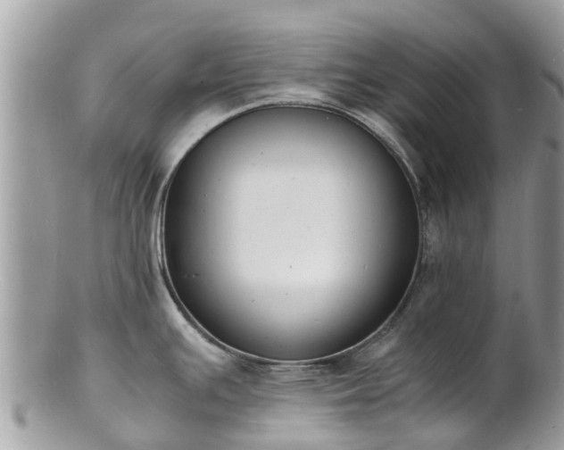 X0000100981391200807011433