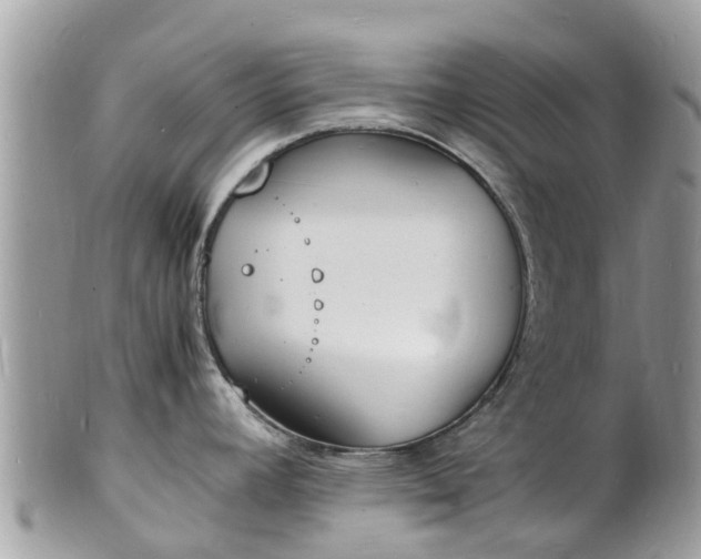 X0000100981392200807011433