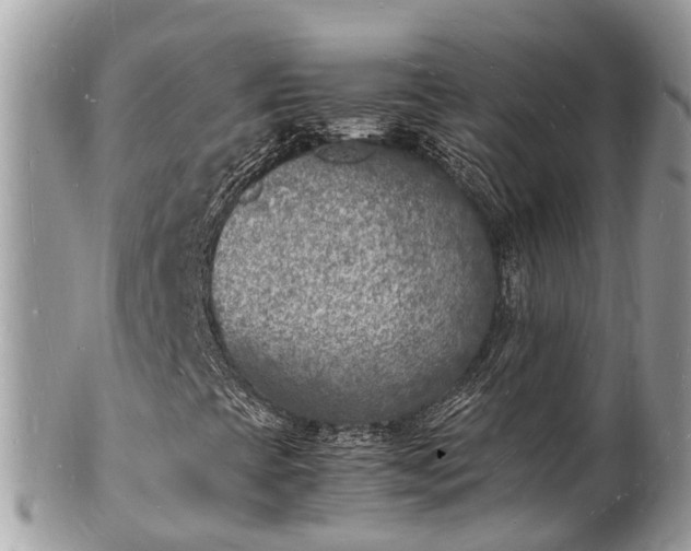 X0000100981393200807011432