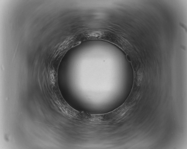 X0000100981394200807011432