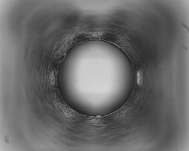 X0000100981395200807011433