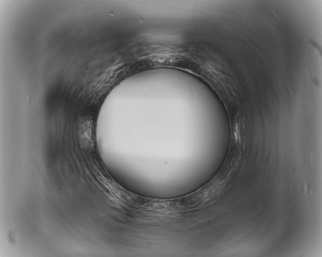 X0000100981396200807011433