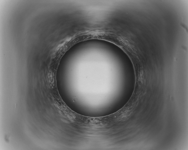 X0000100981398200807011433