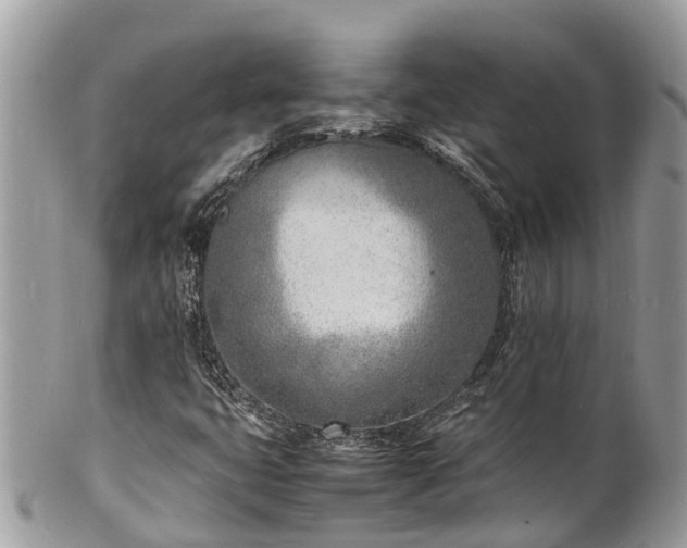 X0000100981399200807011433