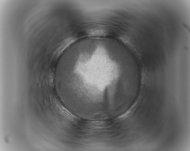 X0000100981401200807011433