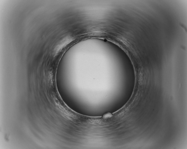 X0000100981402200807011433