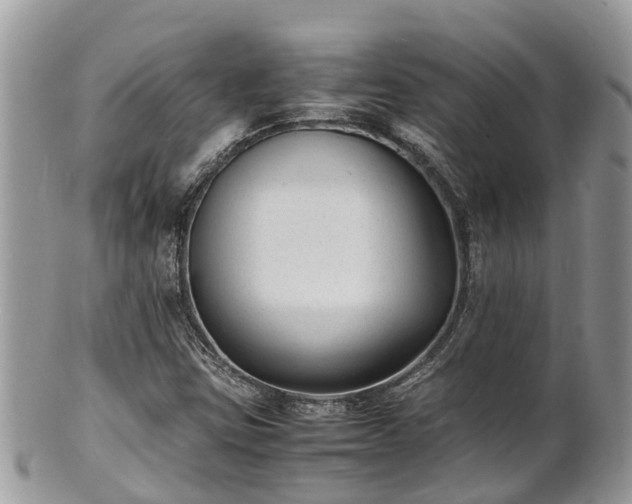 X0000100981403200807011433