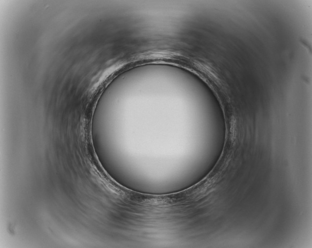 X0000100981404200807011433