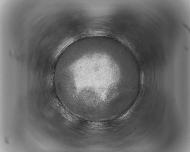 X0000100981405200807011433