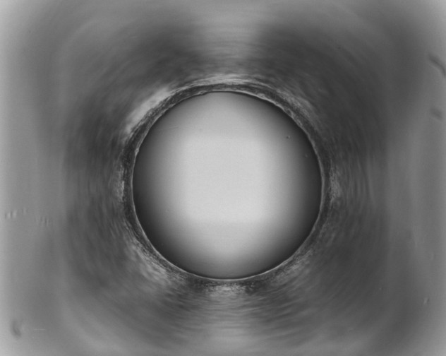 X0000100981406200807011433