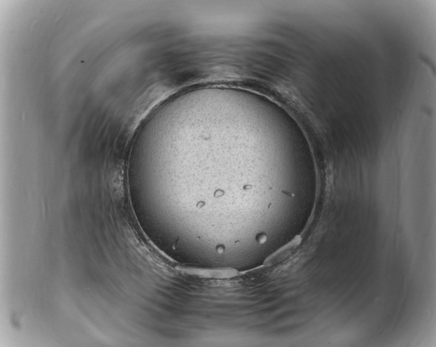 X0000100981409200807011433