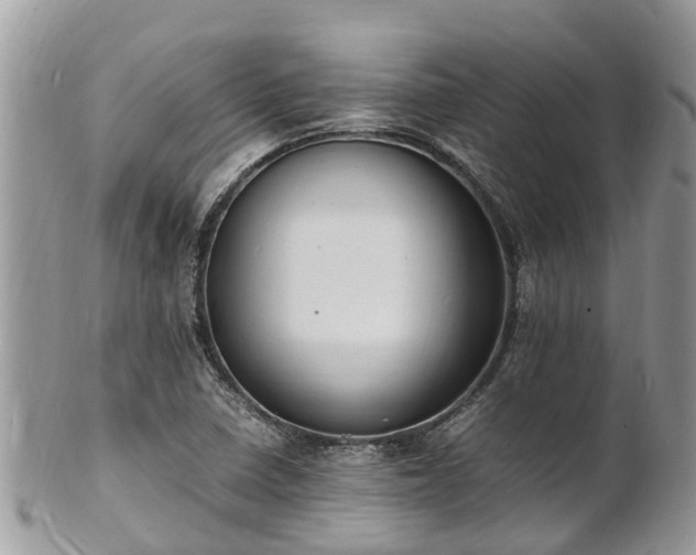 X0000100981410200807011433