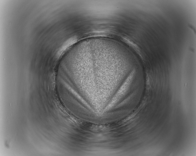 X0000100981411200807011433