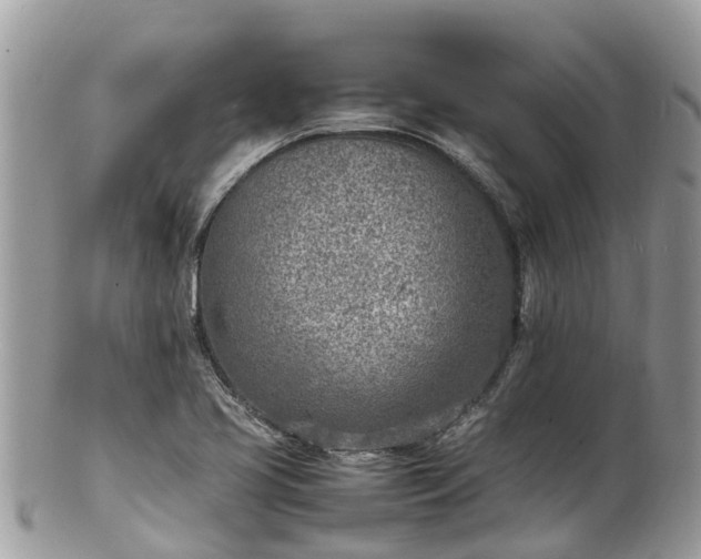 X0000100981413200807011433