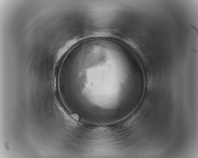 X0000100981414200807011433