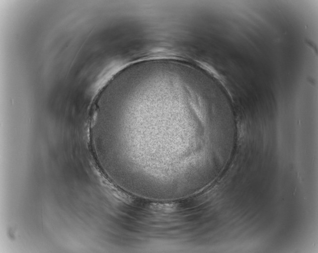 X0000100981415200807011433