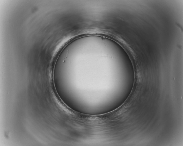 X0000100981416200807011433