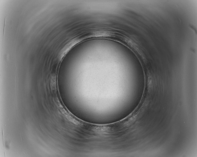 X0000100981417200807011433