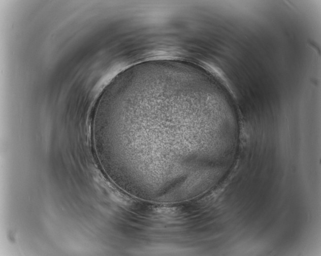 X0000100981419200807011433