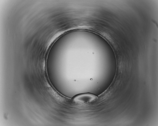 X0000100981420200807011433