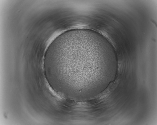 X0000100981421200807011433