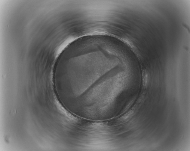 X0000100981422200807011433