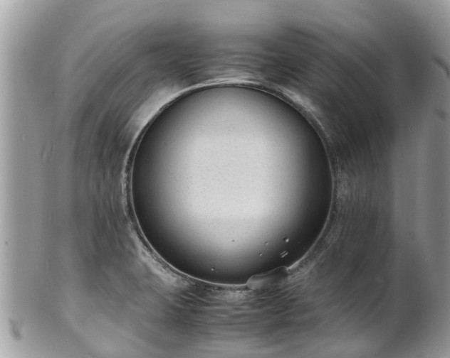 X0000100981423200807011433