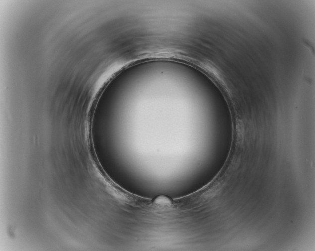 X0000100981424200807011433