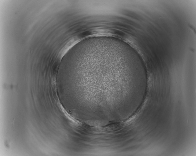 X0000100981425200807011433