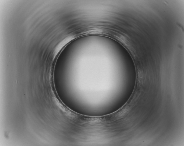 X0000100981426200807011433