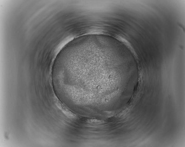 X0000100981427200807011433