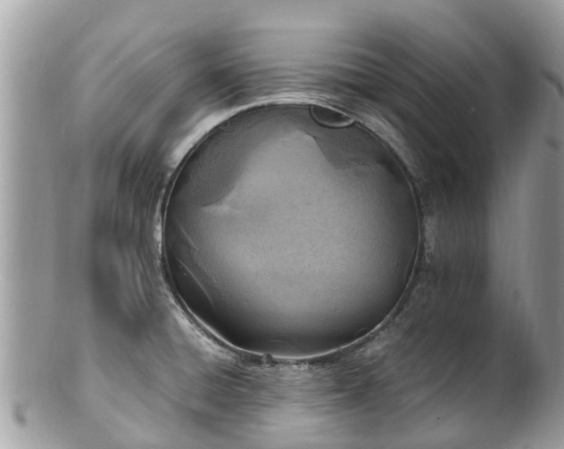 X0000100981428200807011433