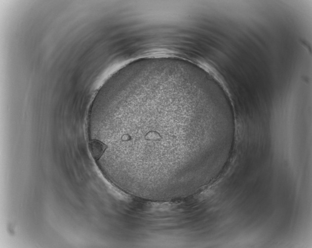 X0000100981429200807011433