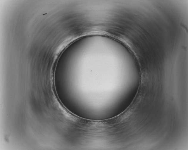 X0000100981430200807011433