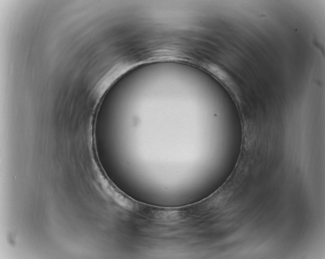 X0000100981431200807011433