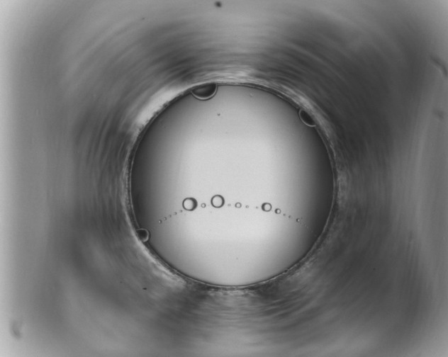 X0000100981432200807011433