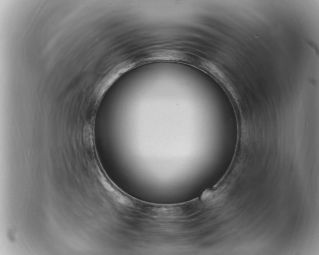 X0000100981433200807011433