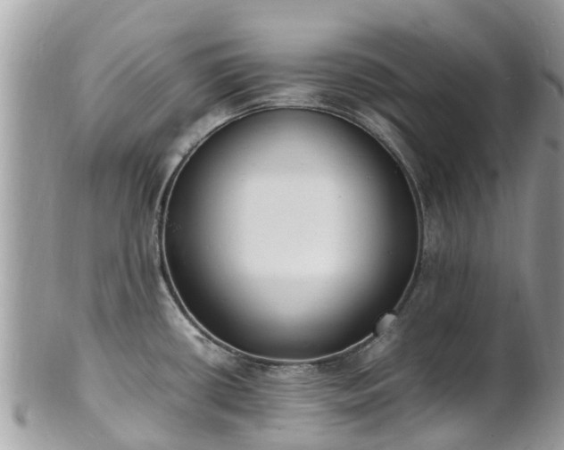 X0000100981434200807011433